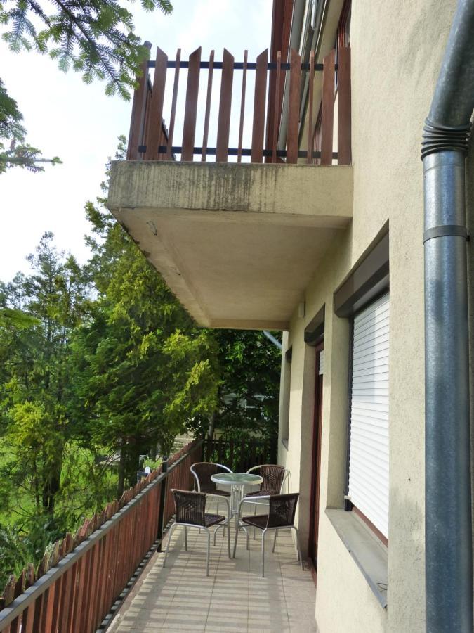 House Elisabeth Balaton Villa Vonyarcvashegy Exterior foto